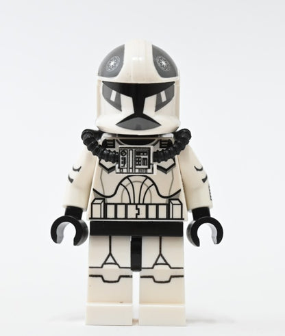 AP1 pilot Shadow squadron