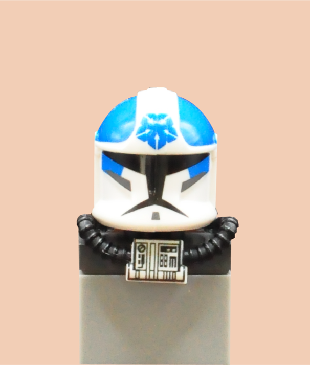 AP1 501st blue member 6