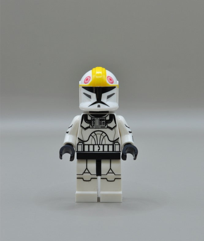 AP1 pilot- Plain pilot